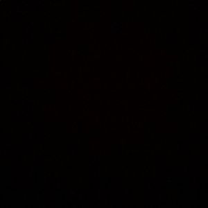 Meet your Posher, Jose